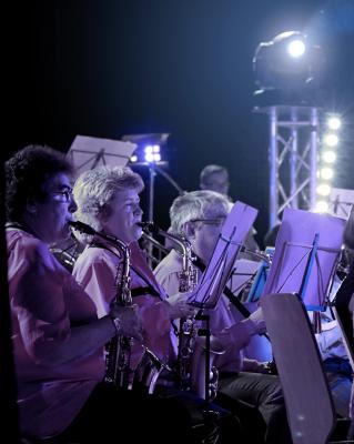 Orchestre d'Harmonie Saint Jean le Vieux - Ambronay