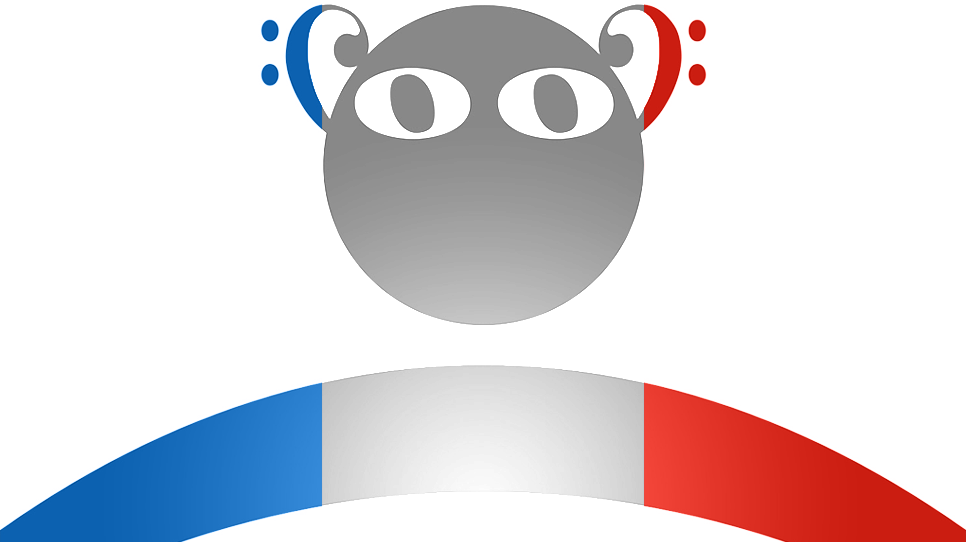 Tete logo ohsja france