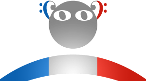 Tete logo ohsja france